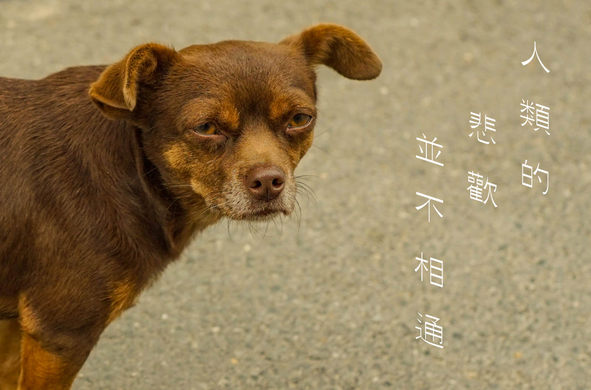 208c75e008e6c7105afcd4ac22d854e_副本_副本.png